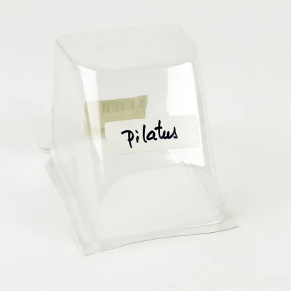 Phoenix H0257 Canopy For Px Pilatus