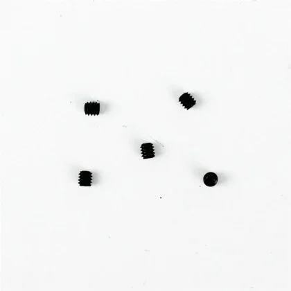 Haoye HY017-00901 Set Uskur Civatası, M2×2mm, 10 Adet