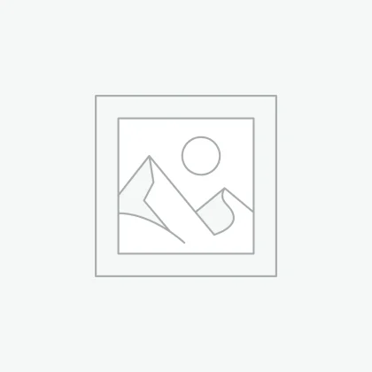 Drone (Multikopterler)